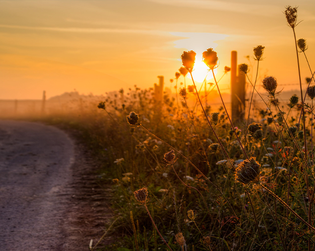 Was kostet eine Bestattung?